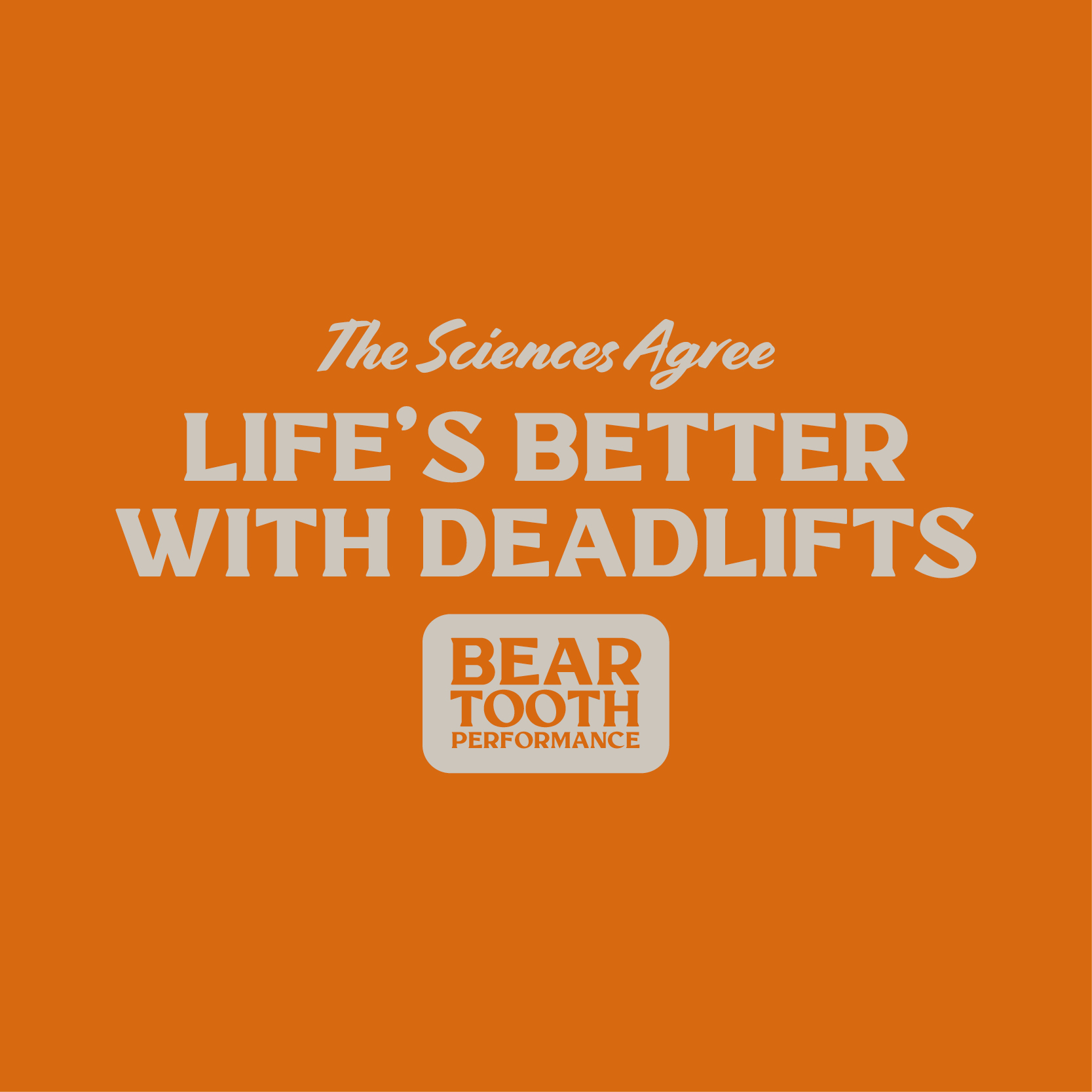 Beartooth-Performance_About_05