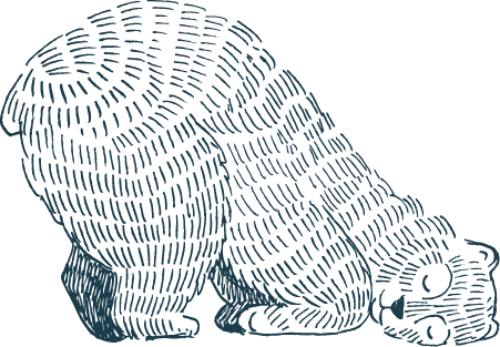 Beartooth-Performance_Local_03